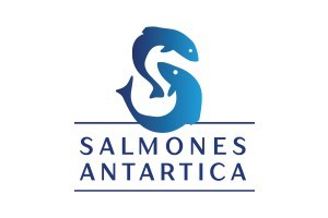 Salmones Antártica