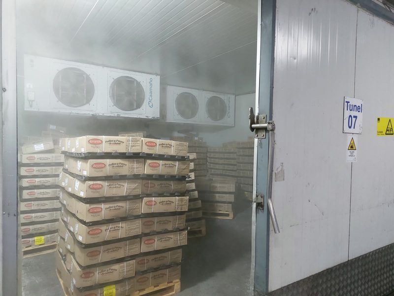 Pallets de cajas dentro del Túnel 07 de congelación, con neblina de frío.