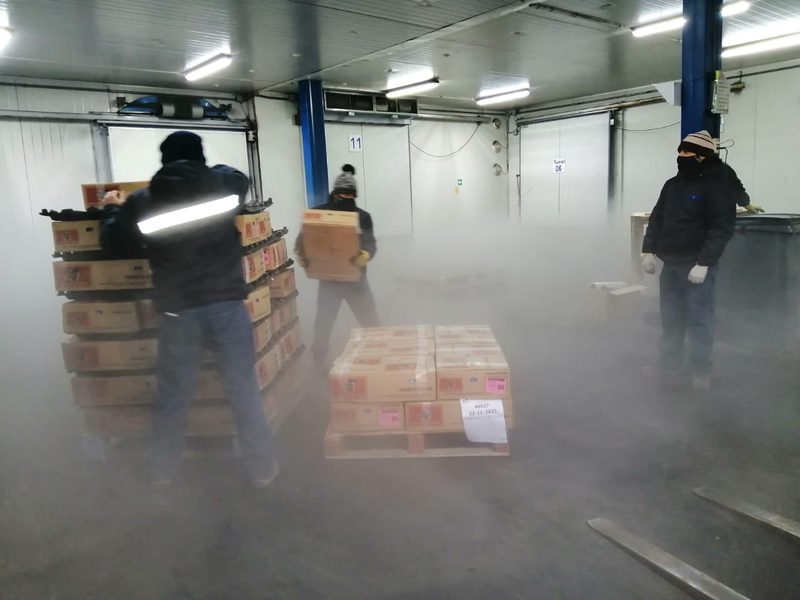 Operarios con ropa térmica mueven cajas dentro de una cámara con neblina de frío.